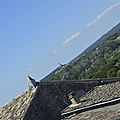 _DSC0172