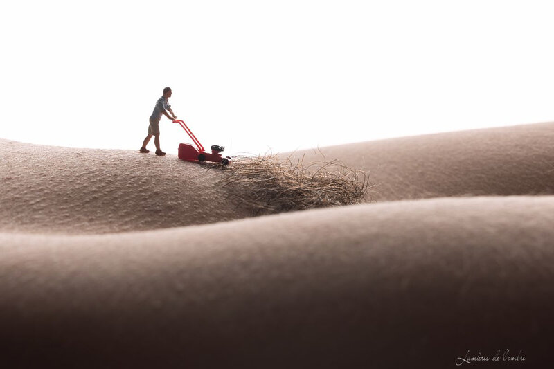 wb_Mini world tondeuse_20191214_6676
