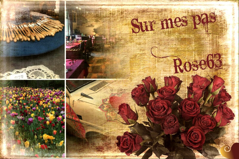 Surmespas Rose63