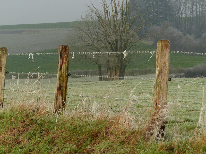 P1330533
