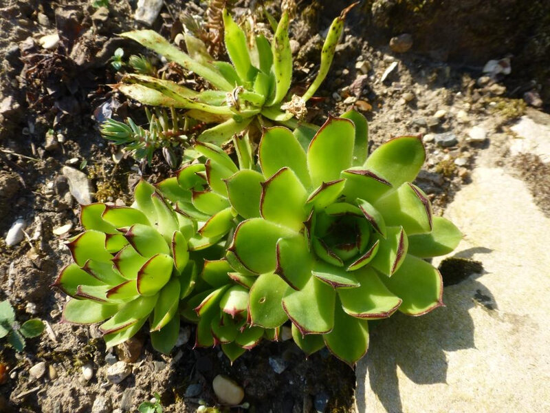 P1240504