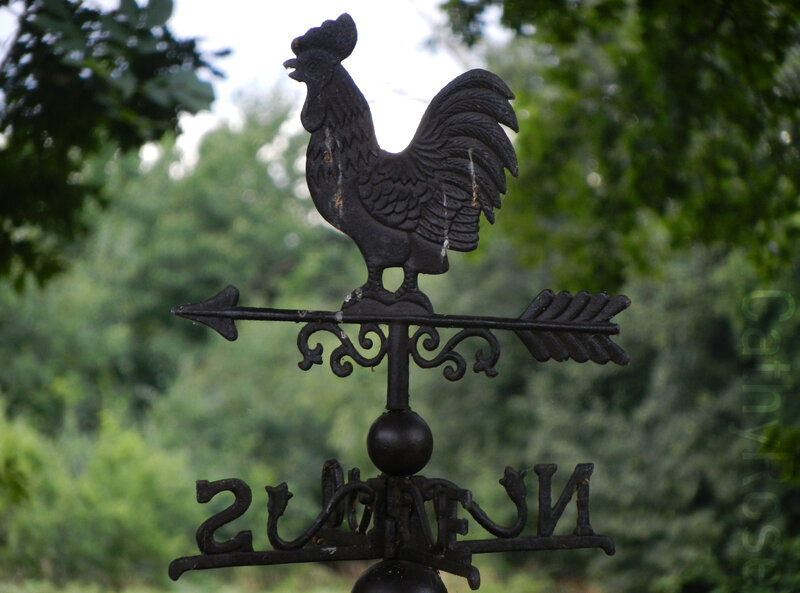 && gîte St Jacut les pins (7)