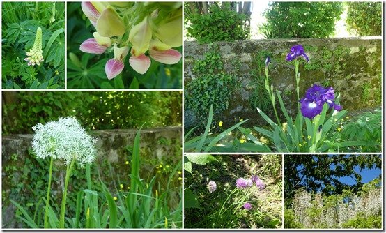 jardin 31 mai 20215