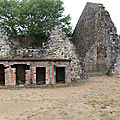 IMG_4941