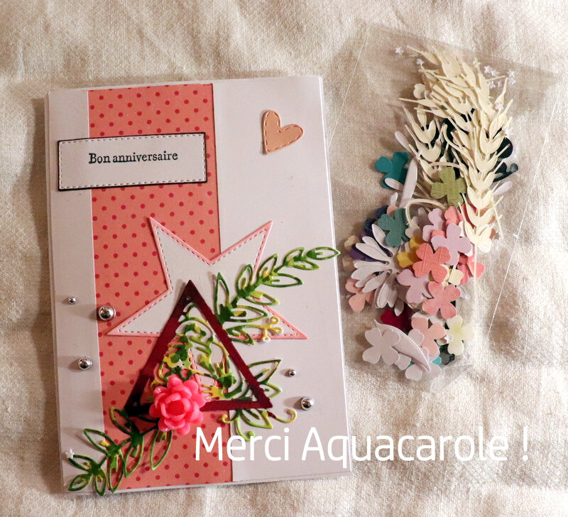 Blog - Aquacarole
