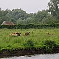 _IGP4721