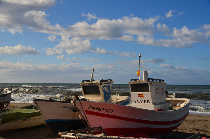 DSC_9963;