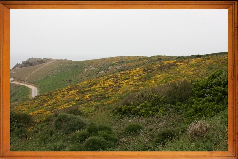 Pointe de van 1