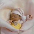 ELENNA, non disponible
