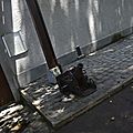 _DSC0152