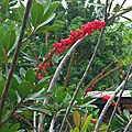 IMG_20170902_032155_24