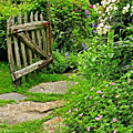 jardin anglais&a&a&