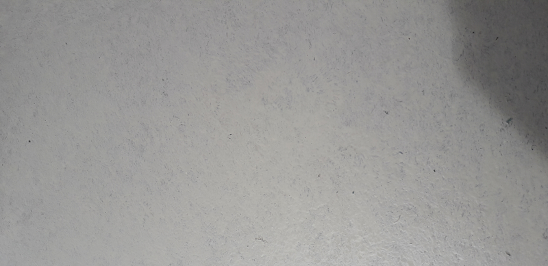 20190429_122630