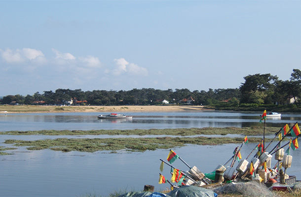 cap-ferret-2