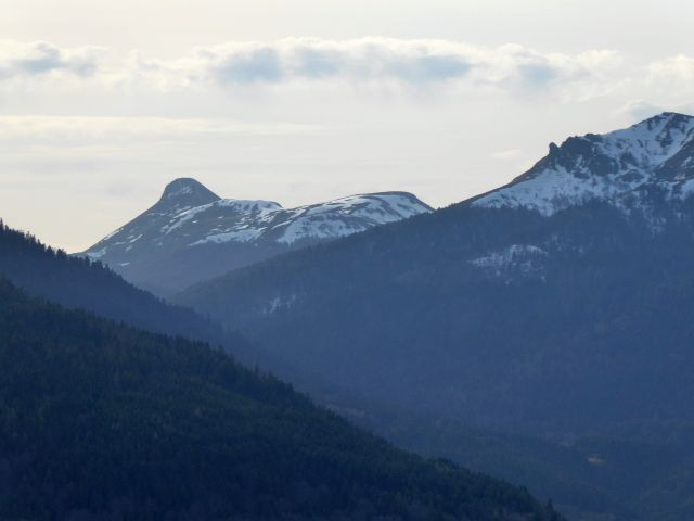 a24