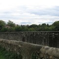 Rhône Nord-2 2006 032