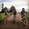 J_DSCF1242