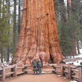 43 - National Parks de Californie