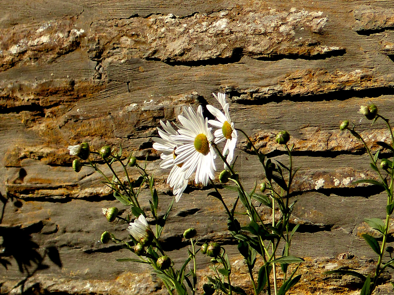 P1480243