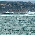 I_TUNNAROTI___VINTILEGNA__ILOTS__CRIS___AVRIL_2022