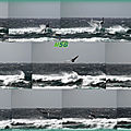 Backloop / chronophotographie ...