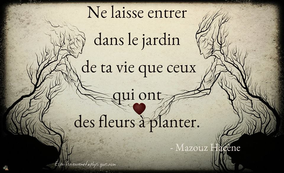 Citations Arbres de Vie... Fleurdel