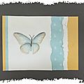 ART 2017 08 papillon aquarelle 1