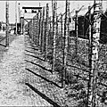 1940 - les prisonniers de guerre vont en camp de concentration 