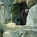 Smithsonian national park - ZOO (6)
