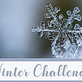 Bilan | cold winter challene 2022/2023
