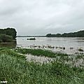 La Loire à Combleux dont la côte est élevée ce 2 juin 2016