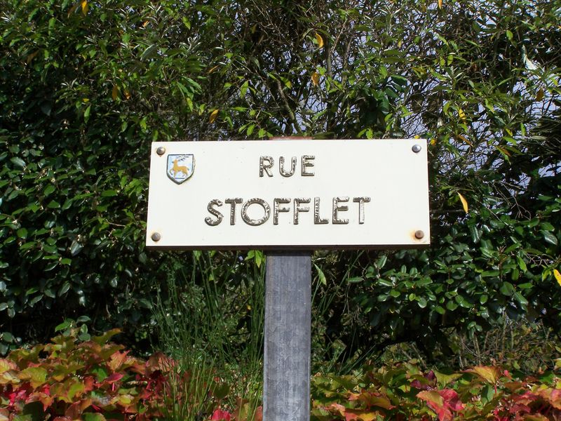 Mortagne-sur-Sèvre (85), rue Stofflet