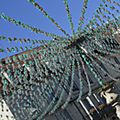 _DSC0345