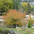 P1110199 (2)