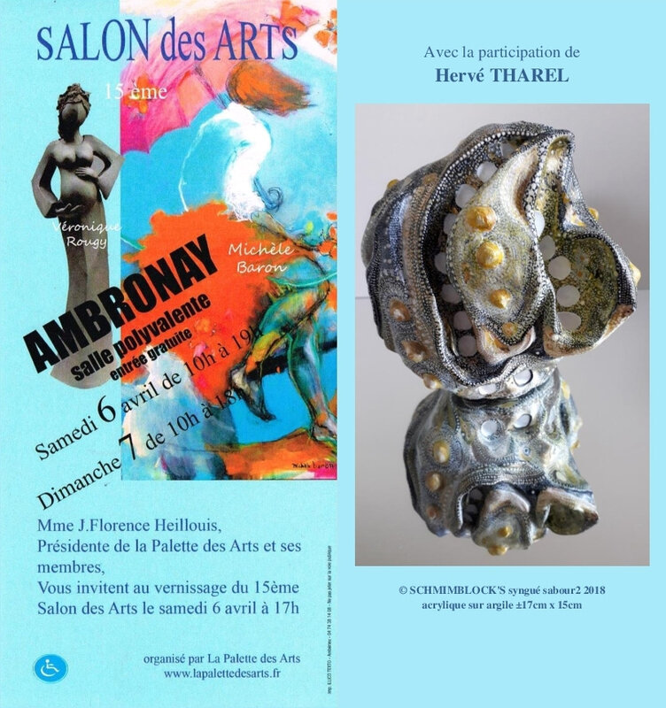 AFFICHE PERSO AMBRONAY Salon des Arts 2019