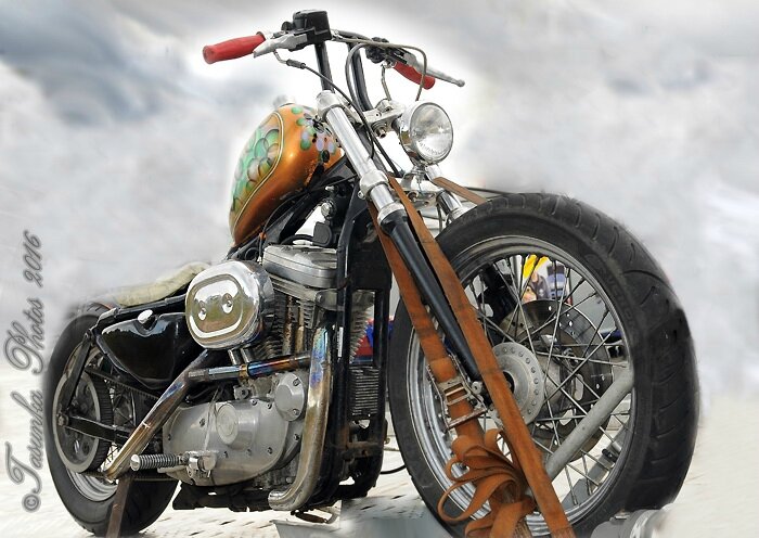 Harley Davidson - Sportster 883 (Customized)