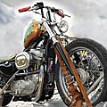 Harley davidson - sportster 883 (customized)
