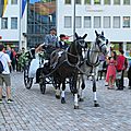IMG_0905