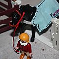 IMG_5441