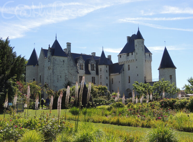 && Le Rivau (9)