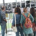IMG_4037