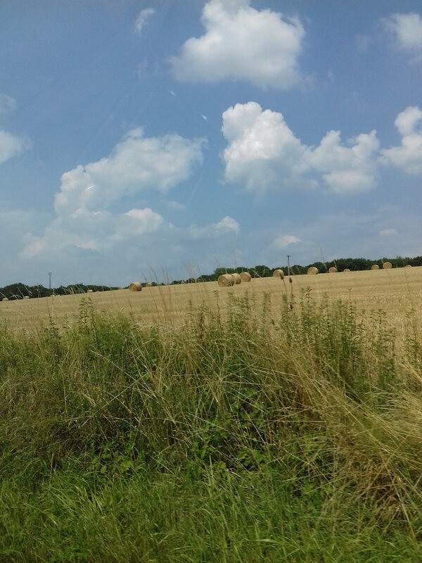 20180713_125559