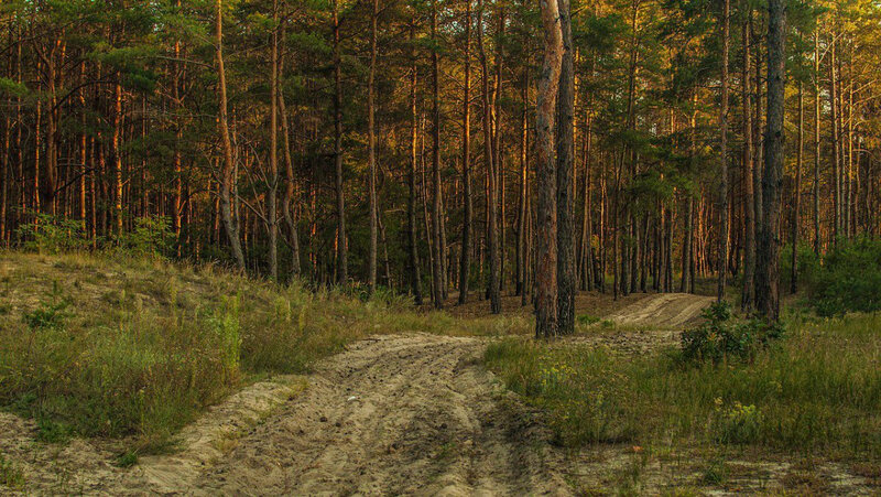 landscape-2817451_1280-3391831