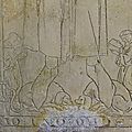 IMG_6331
