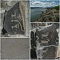 Ginkgo Petrified Forest State Park Petroglyphes Columbia River