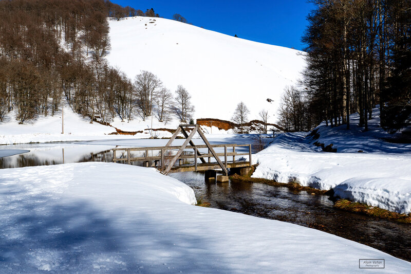 _DSC0781