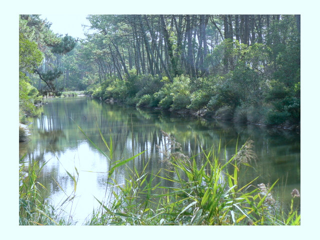 reservoir-de-Piraillan