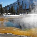 37 - Yellowstone NP
