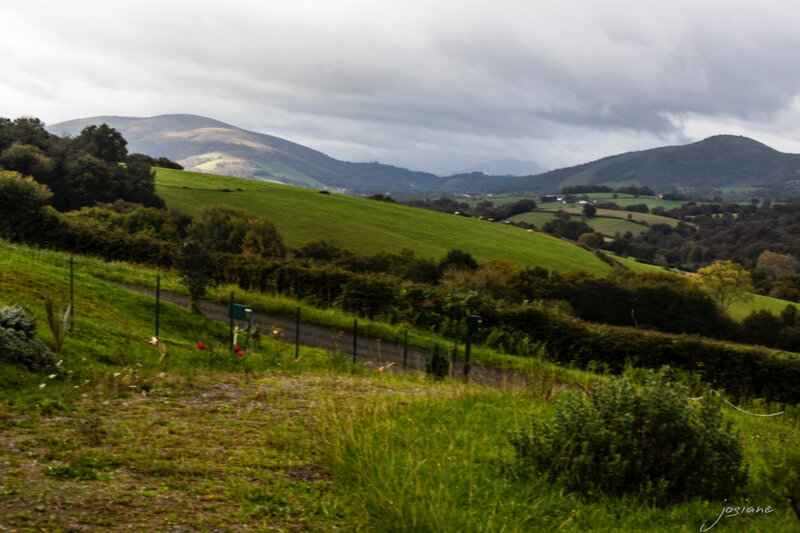 31102019-_MG_5840