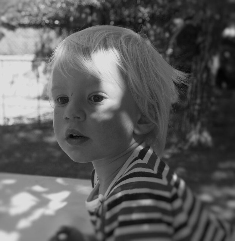 Ambiance Fuchsia - Rosali